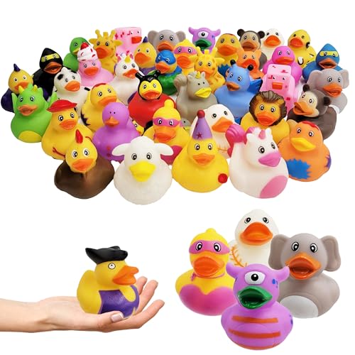 The Dreidel Company Assortment Rubber Duck Toy Duckies for Kids, Bath Birthday Gifts Baby Showers Classroom Incentives, Summer Beach and Pool...