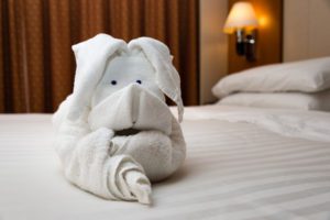 Choosing a cruise ban - photo features towel bunny on cabin bed
