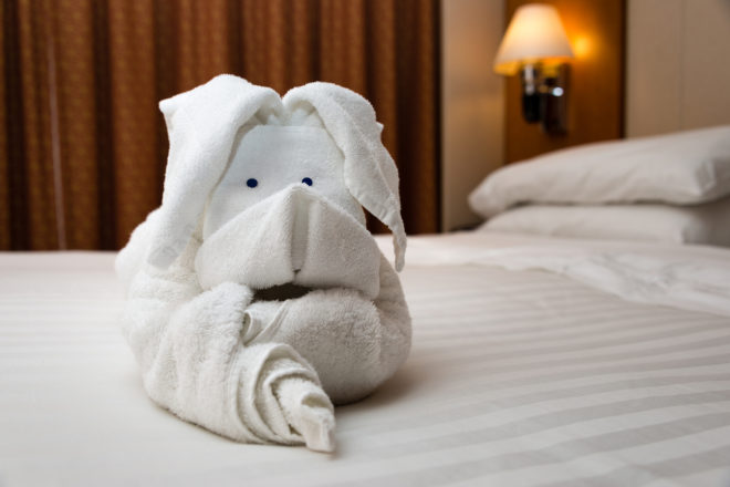 Cruise Ship Rooms | photo of towel bunny on cabin bed