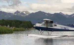 Best Alaska Cruise | Photo of Sea Plane Landing
