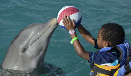 Cozumel Port | photo of child playing with ball and dolphin