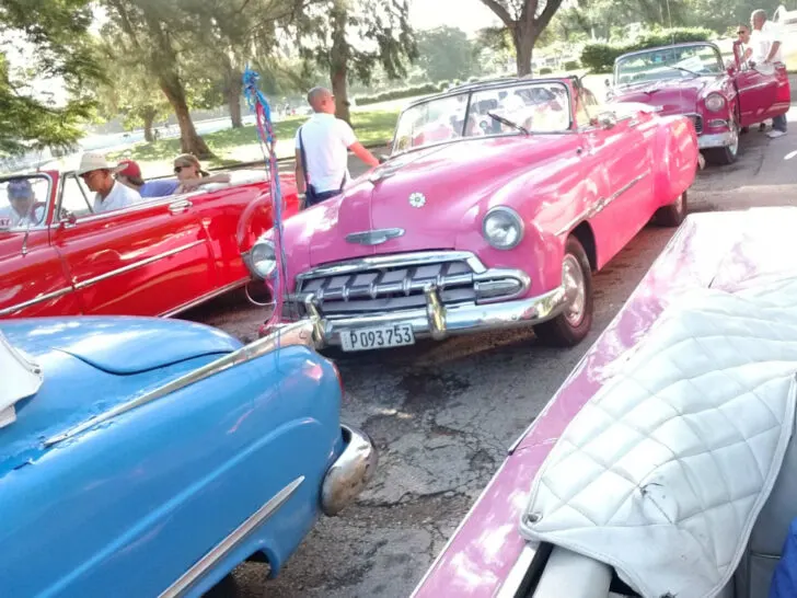 Havana Cruise Port | Photo of caravan of vintage American cars in Havana