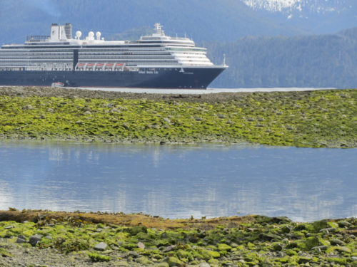 Best cruise lines in Alaska | photo of Holland America ship