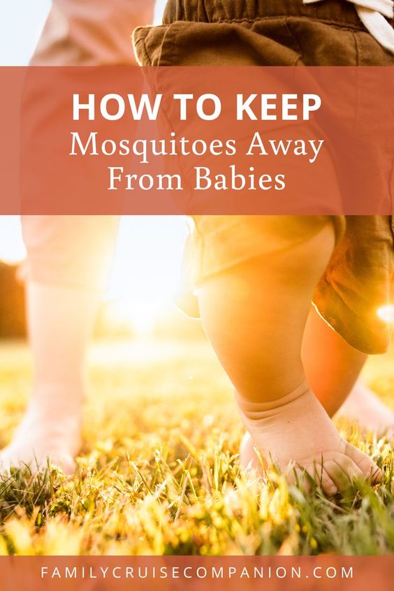 How To Keep Mosquitoes Away From Babies