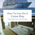 cruise ships you live on