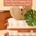do cruise lines search luggage