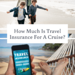 How much is travel insurance for a cruise?