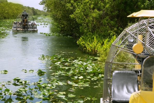 Day Trips from Miami, Florida - Big Cypress National Preserve