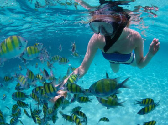 Photo of woman snorkeling under water with colorful fish.