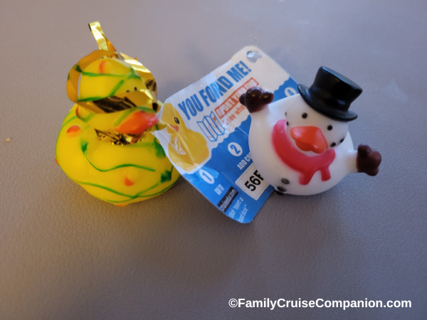 Photo of rubber ducks found on cruise ships.