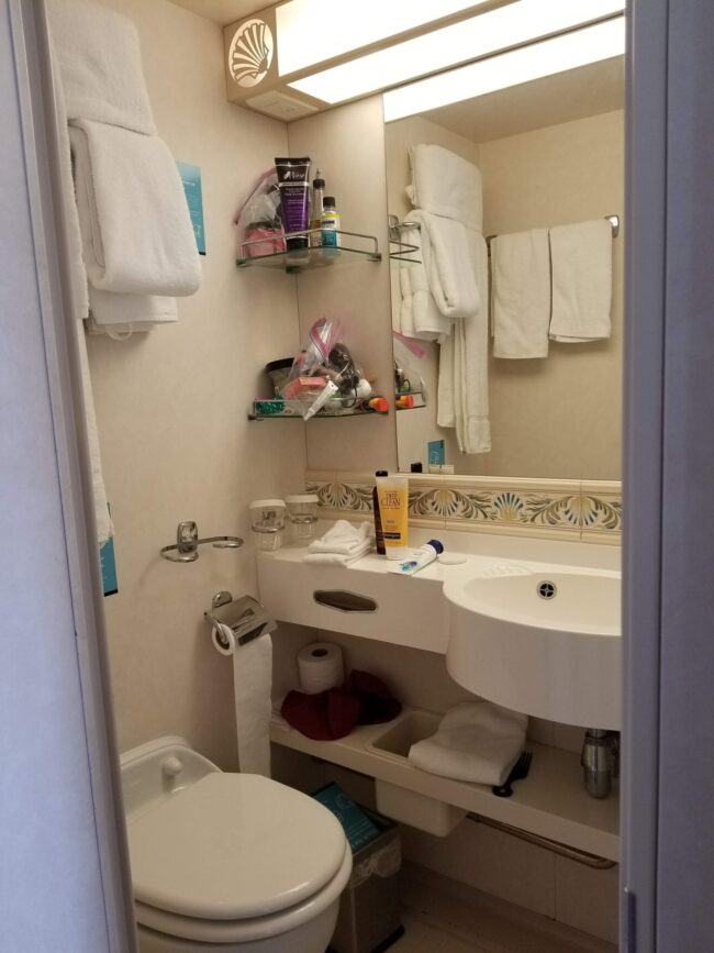 Photo of cruise ship bathroom - circa 2018.