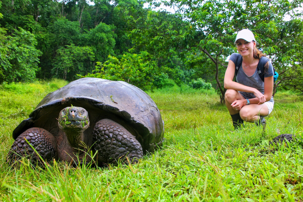 A smiling traveler kneels next to a giant tortoise grazing in the lush green grass of the Galápagos Islands, one of the world’s most unique cruise destinations for wildlife lovers.