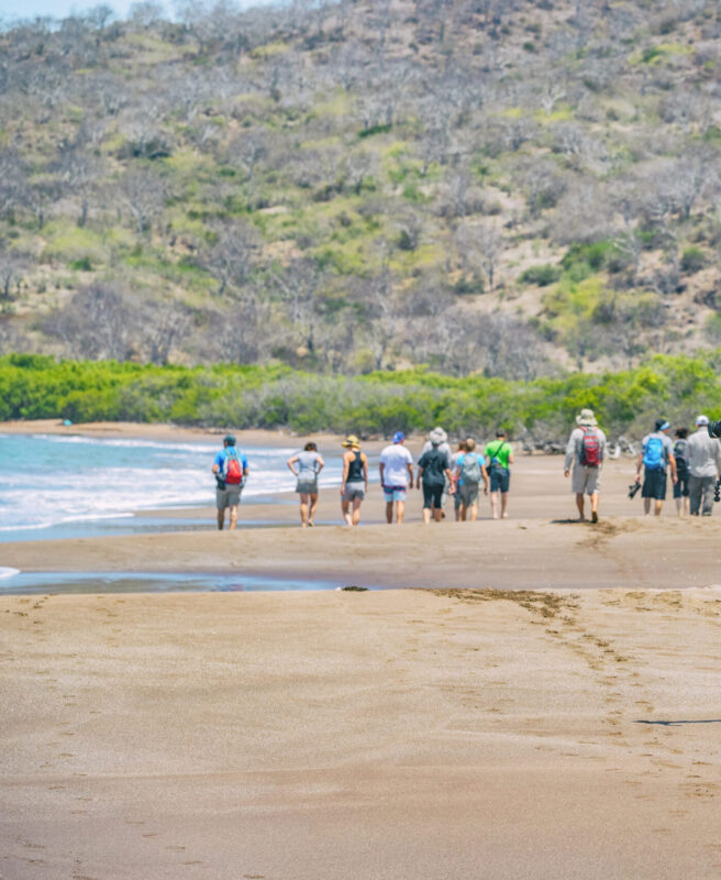 A group of travelers walking along a sandy beach surrounded by lush green vegetation in the Galápagos Islands, one of the world’s most unique cruise destinations.