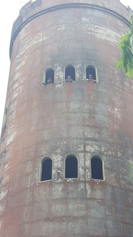 A historic tower in Puerto Rico’s El Yunque rainforest with children looking out from small arched windows, surrounded by lush greenery.