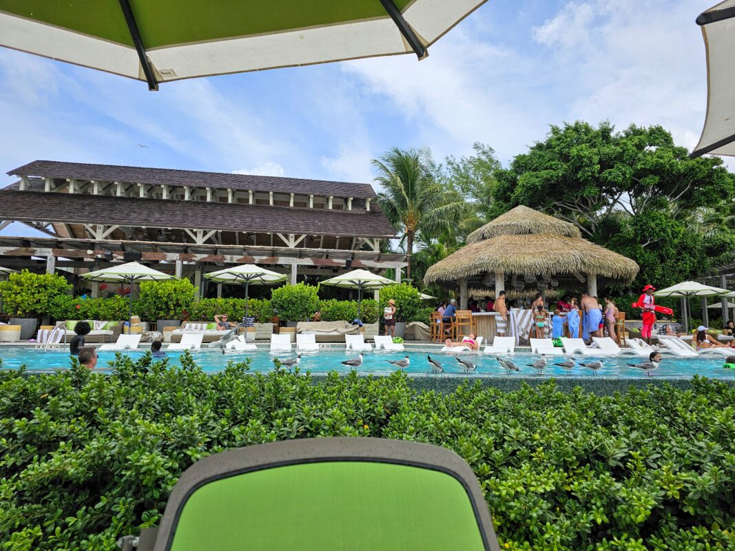Swimmers and sunbathers at Royal Caribbean’s Coco Beach Club pool, with a tropical bar, palm trees, and lifeguard visible in the background.