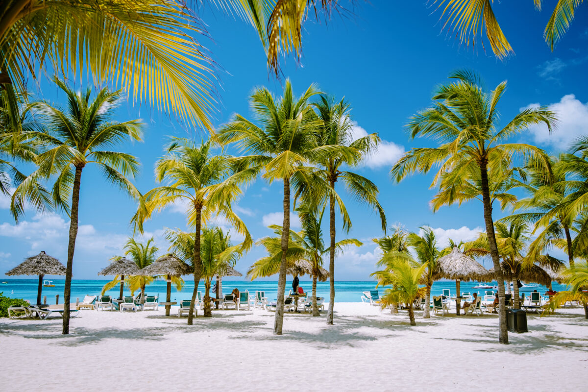 Tropical scene at Aruba’s Palm Beach with beachgoers relaxing beneath palm trees and straw umbrellas on a sunny day.