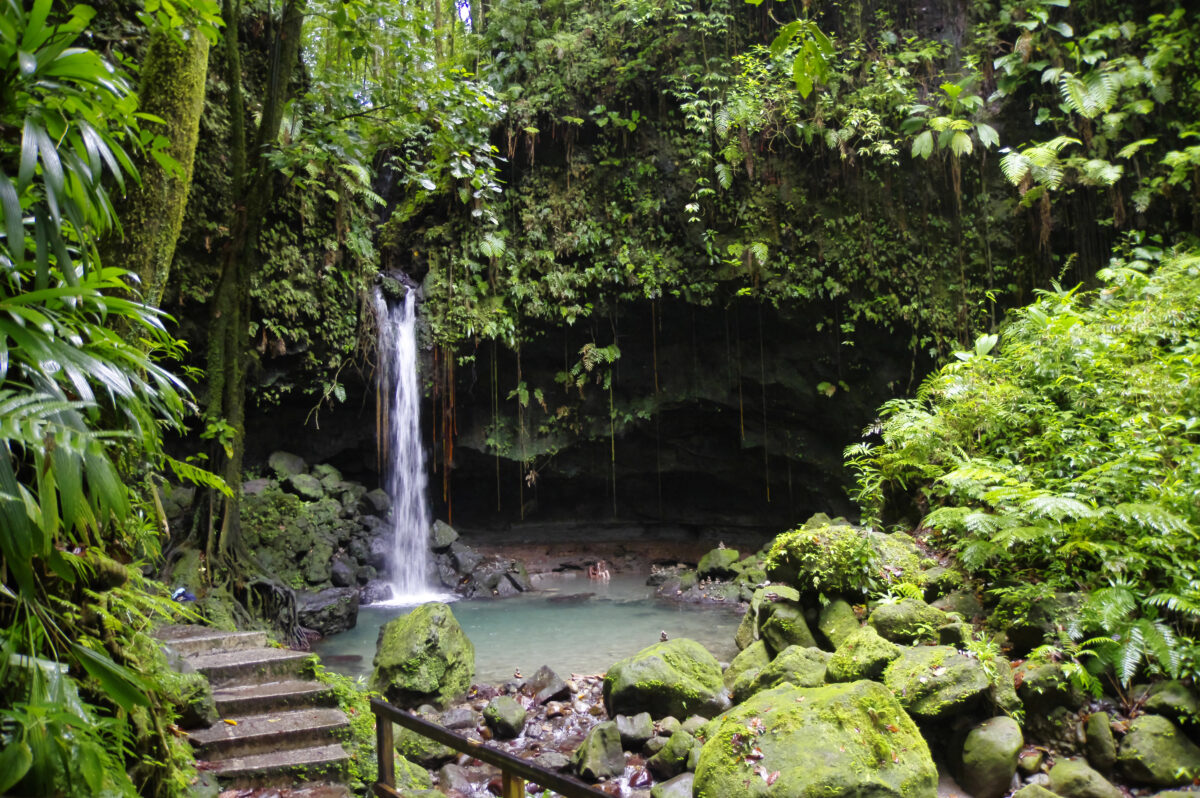 Small waterfall flowing into a clear pool surrounded by moss-covered rocks and dense tropical plants in Dominica’s rainforest.
