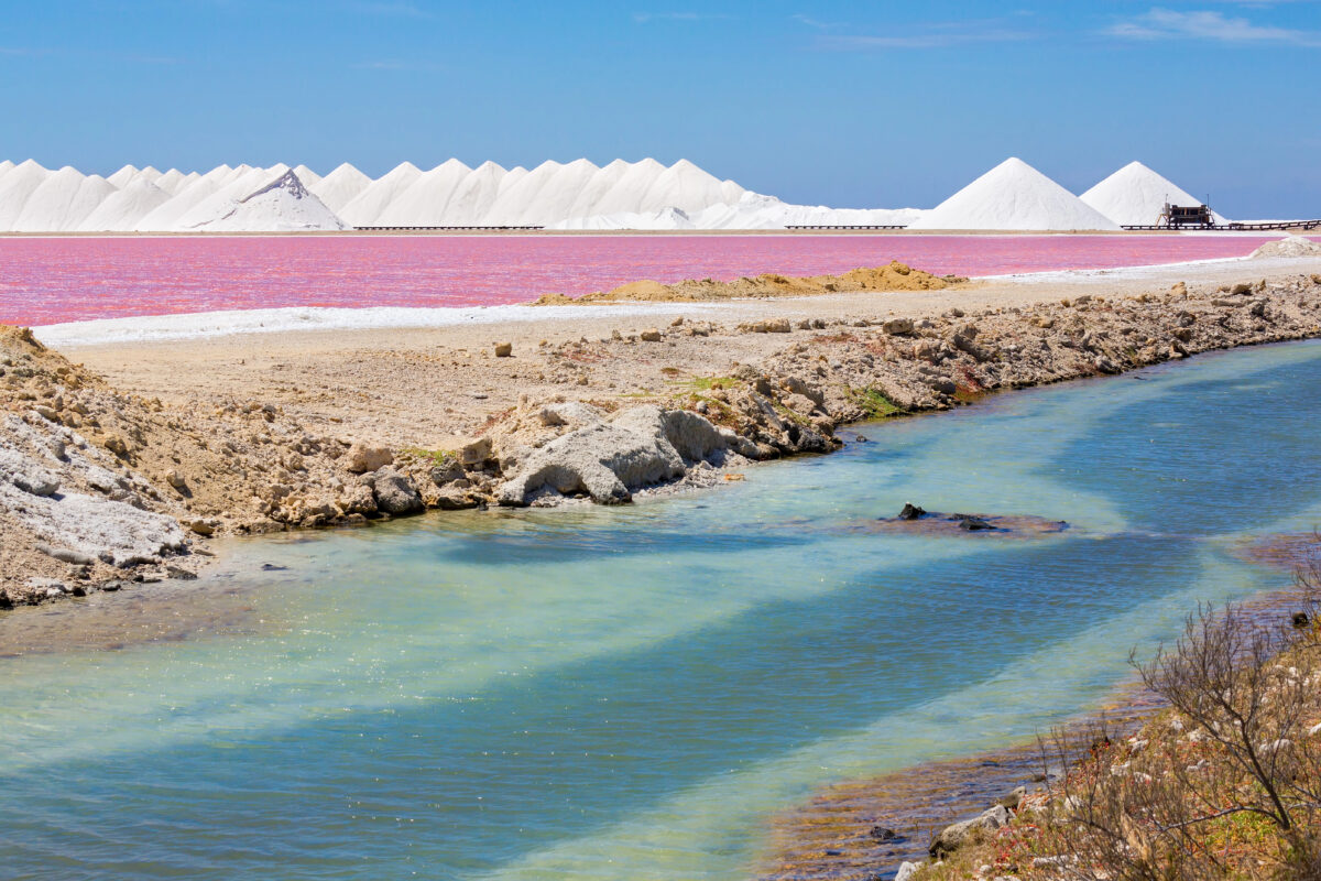 Colorful landscape in Bonaire showing pink salt ponds bordered by piles of white salt and turquoise water in the foreground beneath a bright blue sky.